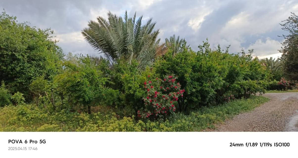 السلام عليكم
دار للبيع في قرية الطارقية حوش اكثر من دونم مساحة البناء تقريباً 240 م 
كراج عدد 2 
مخزن عدد 3
بئر ارتوازي
مولد لستر جديد
بستان مزروع مختلف الأشجار
البيت يتكون من 
ربعه
هول عدد 2
غرف نوم 2
مطبخ
صحيات
الاستفسار  الاتصال على الرقم ***********@
