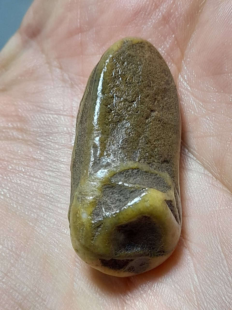 #ياالله
السلام عليكم ورحمة الله وبركاته 
نقدم لكم كل ماهو جديد ومميز 
متابعينا الكرام نقدم لكم حجر (   سلطاني رباني وطبيعي ومشروط قديم )   بسعر (25) الف والتوصيل ( مجاني)   اقوى عرض تحطيم الاسعار  للحجز والاستفسار مراسلة الصفحه او الاتصال على الرقم يوجد واتساب ‎0774 784 6745 يوجد توصيل الى كافة محافظات العراق 🇮🇶 🇮🇶
