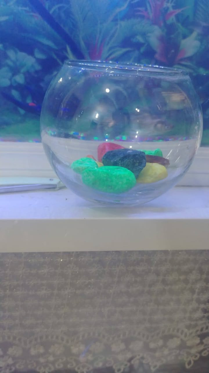 السلام عليكم 
حوض الصغير هوه وسمكه والحصو ماله (3.500)
وحوض الكبير هوه وسمكه والحصو ماله (4.500)
الشراي يجي خاص او ينتصل عله هاذا الرقم (***********) مكاني تأميم قرب مجمع عضومي
