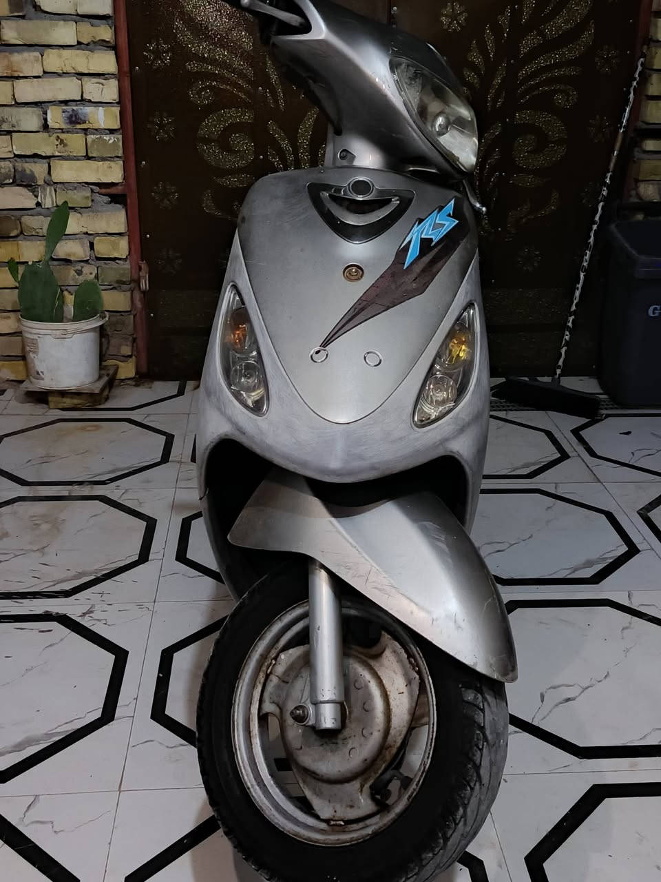 ماكس ملغولي وكاله عامه ما مفتوحه 
عارذه للبيع سعره 800 وبي مجال رقمي ***********
