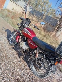 بوكسر • ابوصيدا • اوراق اصوليه