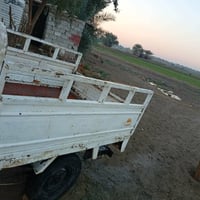 كلك • مكاني • شامية