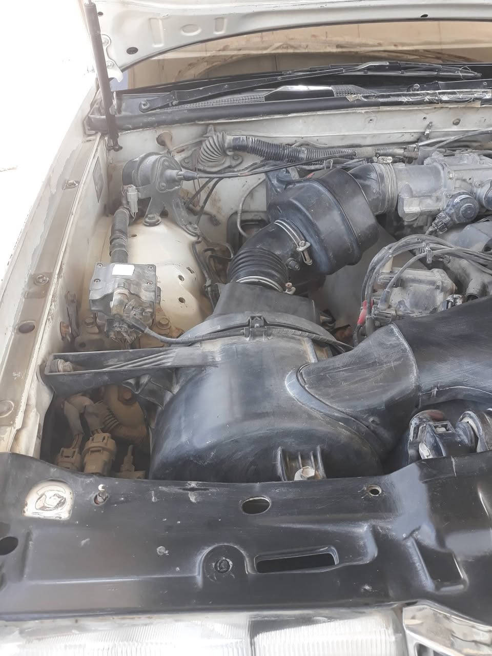 اللهم صل على محمد وآل محمد السلام عليكم ورحمة الله وبركاته للبيع سيارة أرنب موديل ١٩٩٤ رقم بابل إنگليزي السنوية ٢٠٣١ بإسمي سيارة مكفوله من الضربة والگص ونقل الجثة تبريد شغال تخم تاير جديد خط أبيض باتري جديد السعر ٨٠$ العنوان ديوانية مهناوية الإتصال على الرقم *********** والرزق للجميع
