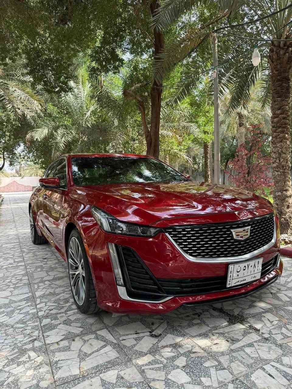 كاديلاك ct5 موديل 2020
رقم بغداد حرة
تقرير غرق  السياره 
مغلفه نانو
فتحة بانو راما فول مواصفات 
4 سلندر تيربو 
محرك2000
 بيع فقط 
للاستفسار على السعر التواصل على الرقم :
***********
