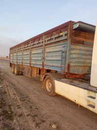 عربانه • دناكير صيني • صلاح الدين