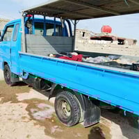 كيه حمل للبيع صبغ جماليه 60وبيه مجال قليل 07815212359