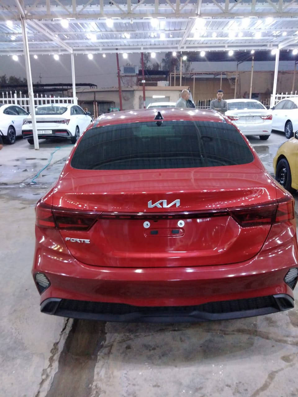 فورتي معوقين موديل ٢٠٢٤وارد امركي 
رادار تحديد مسار قياده ذاتيه سياره 
نص موصفات كلين المركبه 
فقط دعاميات رقم بغداد 
السعرر ١٤٨ورقهةمكاني كربلاء التواصل 
***********
