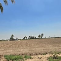 دوانم • طابو ملك صرف • مشروع الوحده بغداد