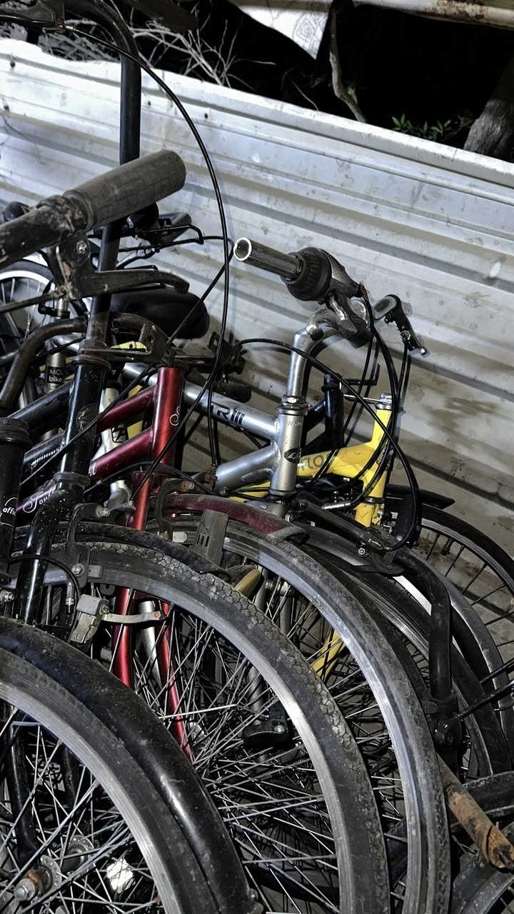 سلام عليكم بيسكلات باله لبيع  اسعار مناسبه تجي وشوف نضافه عنواني بصره كرمه علي *********** تجي تختار تاخذ بيسكل جاهز من تيوب من اي نقص عدد قليل عدي رياضيات عدي طوبه وحساس شنو تريد موجود تريدهن كلهن تريد مفرد تريد جمله شنو تريد موجود
