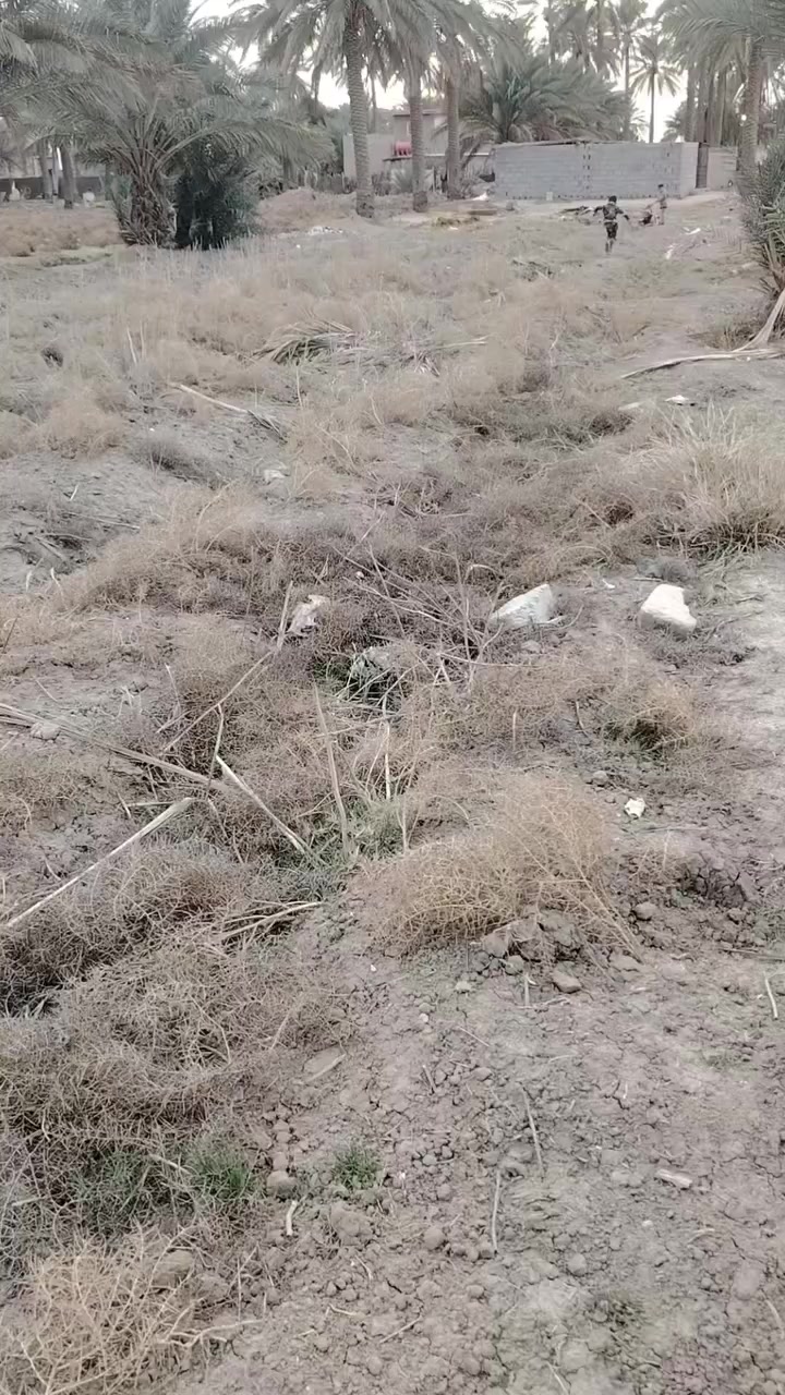 قطعه ٨٥٠ متر واجهيه ٦٥ نزال ١٣ متر طابو زراعي سند ٢٥ قرب جامعه.      ***********
