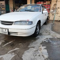 صبغ حزام • تجميلي • قابل تفاوض