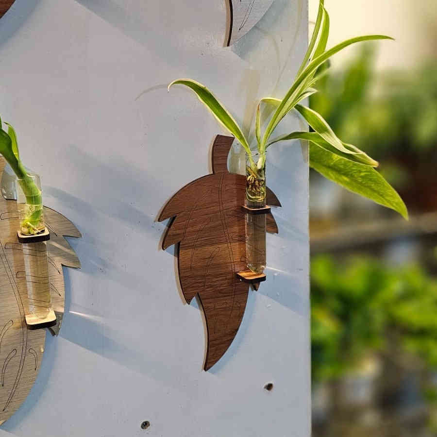 أضف لمسة حياة وأناقة لمنزلك مع ديكور نباتات للتجذير 🌱
تصاميم عصرية، جودة عالية، وأسعار تناسب الجميع!
القطعة بـ 3 آلاف | قطعتين بـ 5 آلاف | 5 قطع بـ 10 آلاف
جملة ومفرد متوفرة
🚚 توصيل لكل العراق

📍 العنوان: مشتـل باشا، كركوك – رحيم أوه
📞 للطلب والاستفسار: ***********
