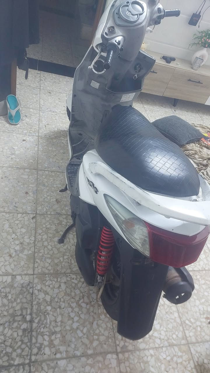 سكنس فحل بيع او مراوس الغزاليه 600.     ***********
