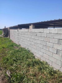 ٥ دونم • الصويره • عقد ٢٤