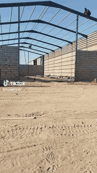 🔥أعمال حدادة متقنة وبجودة عالية🔨
تنفيذ:
أبواب، شبابيك، قمريات، جملونات، مصاعد،
💎شغل مضبوط ودقيق حسب الطلب والقياسات
🏷️اسعار مناسبه وخدمه سريعه
📩للاستفسار او الطلب:خاص/او واتساب
📞الرقم /***********
