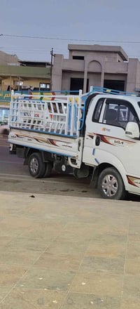 موديل 24 • كفالة عامة • أربيل