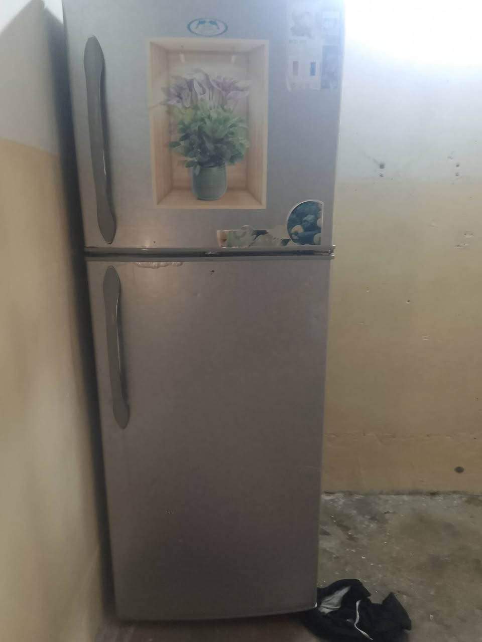 السلام عليكم متاح ثلاجه سعر 100 نريده يدخل خاص


**إذا كنت صاحب هذا الإعلان وتريد حذفه لأي سبب، رجاءا أرسل رسالة إلى الدعم الفني**