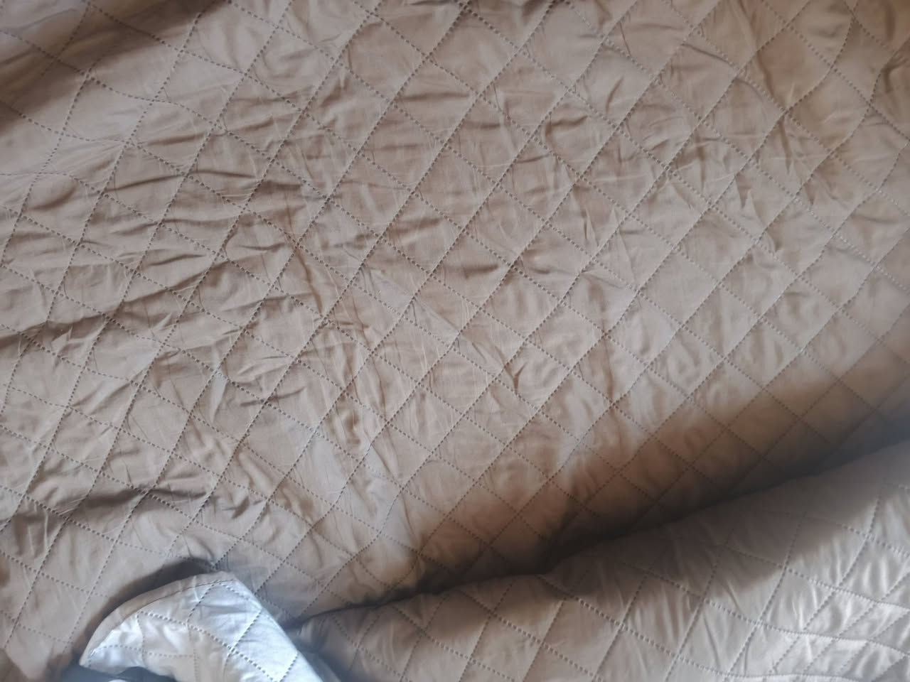 فرشه تخم ١٠ نفرات مبطنة مبي لا وصخ ولا تلف جديد ب ٣٥ الف


**إذا كنت صاحب هذا الإعلان وتريد حذفه لأي سبب، رجاءا أرسل رسالة إلى الدعم الفني**