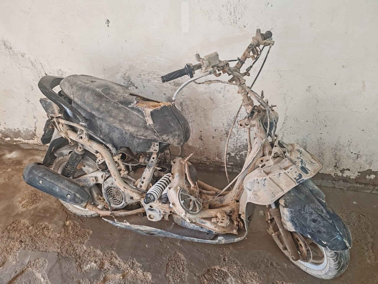 شتريد غراض سكنس  ياباني نثيه عندي كوله بلادي وع الفحص العليك راسلني وتدللو
مكينه شغال شرط لا تبخير ولاتنقيص
كابريتر
ماكينه
ظفيره
بدبلات اماميه وخلفيه
صالنصه شيال
وياله تايران
ماكنيت


**إذا كنت صاحب هذا الإعلان وتريد حذفه لأي سبب، رجاءا أرسل رسالة إلى الدعم الفني**