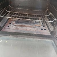 طباخ • شغال • بلا ضرر