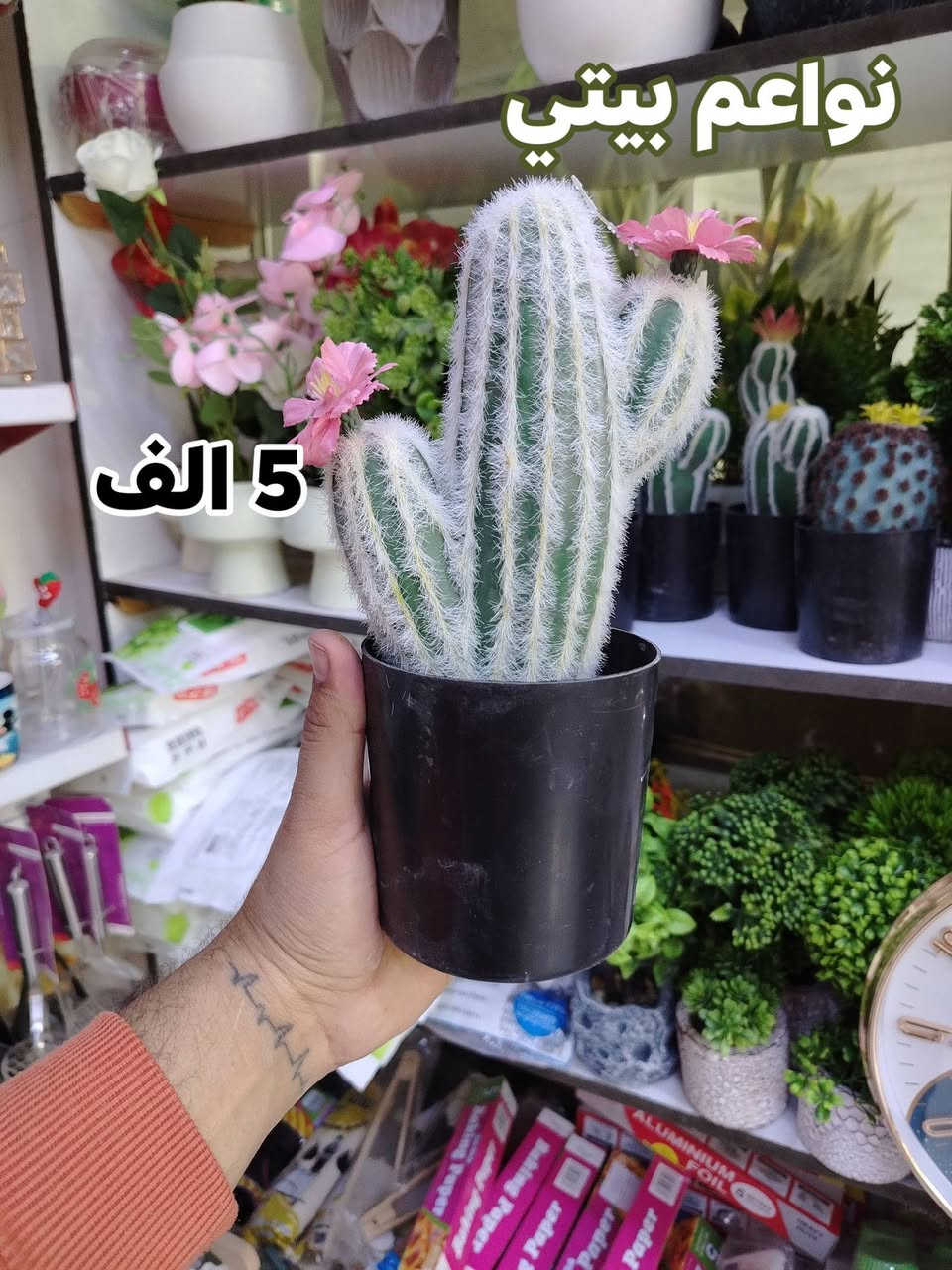 سنادين صبار بموديلات مختلفه ترد الحسد والعين وديكور حلو 
توت توت تعالي النواعم بيتي كلشي موجود😜🤪😋
🧿﷽ 🧿
#نواعم بيتي المواد المنزليه
بضاعة جديدة ومنوعة موديلات واشكال مختلفة راقية وأنيقة ومفيدة جدا تجدونها في نواعم بيتي  
العنوان / العزيزية شارع سيد عزي مجاور علي العتبي للذهب عمارة احمد صبر
يتوفر لدينا خدمة توصيل داخل العزيزية مجاناً 
توصيل لكافة محافظات العراق

👌للحجز ارسال صورة المنتج ورقم الهاتف 
الحجز مراسلة الصفحة أو الاتصال على الرقم ***********\*********** 
🏠الدوام من الساعة التاسعة صباحاً  لغاية الساعة التاسعة ليلآ
اسعارنا تنافسية ومخفظة جداً ....ويدللون 😁😃
