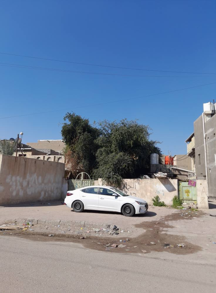 دار للبيع الطويسه خلف الجوازات  ٢٤٠م  سعر متر ٣مليون  قابل لتفاوض  *********** البصرة, العراق
