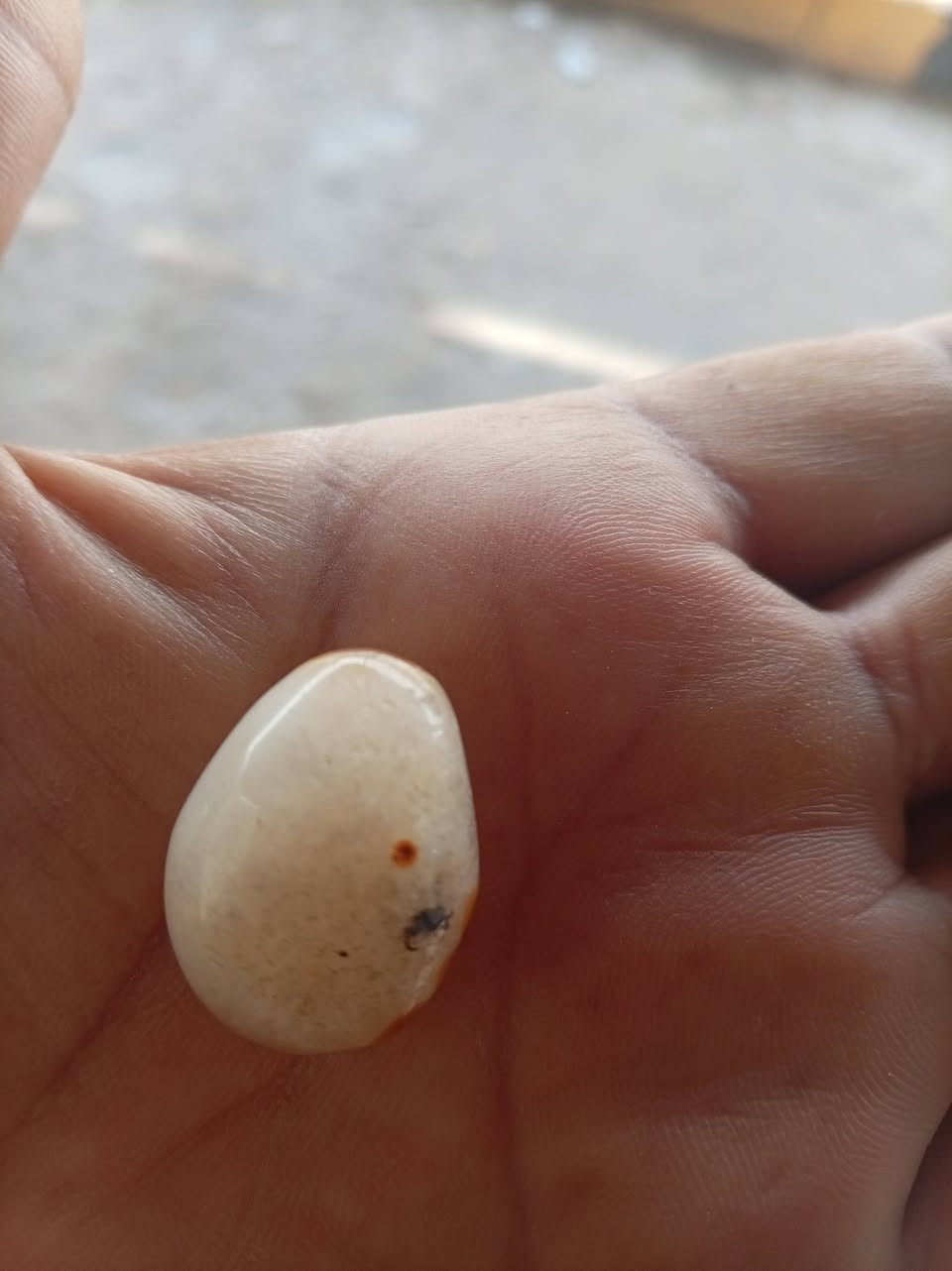حجر العطف السليماني للبيع معروض 
السلام عليكم الاستفسار ***********
