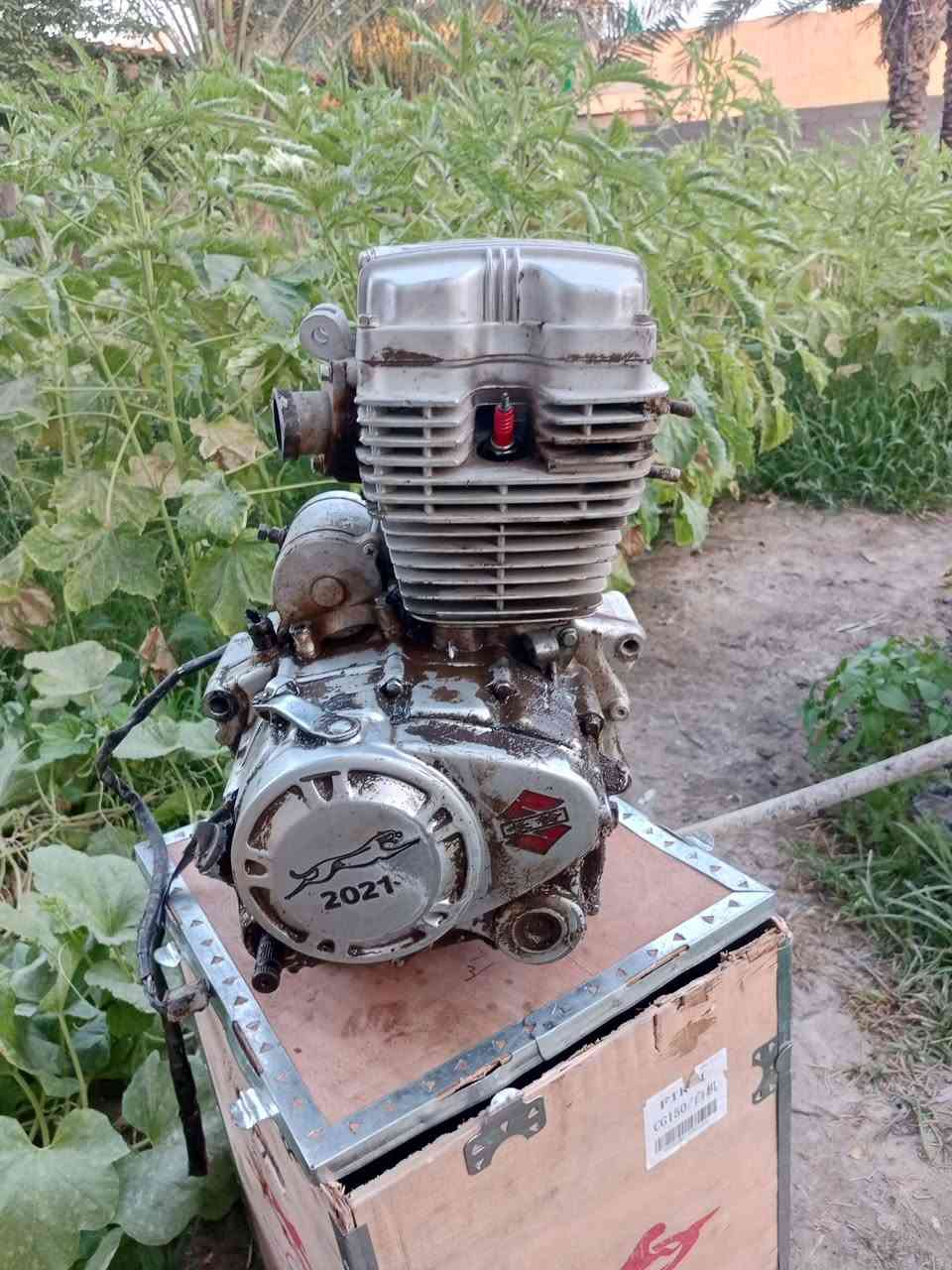للبيع مامجفت ابد السعر 35


**إذا كنت صاحب هذا الإعلان وتريد حذفه لأي سبب، رجاءا أرسل رسالة إلى الدعم الفني**