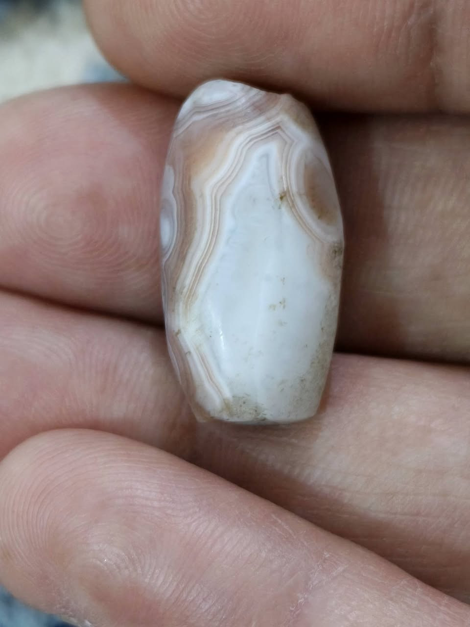 بيه كلشي وكلاشي


**إذا كنت صاحب هذا الإعلان وتريد حذفه لأي سبب، رجاءا أرسل رسالة إلى الدعم الفني**