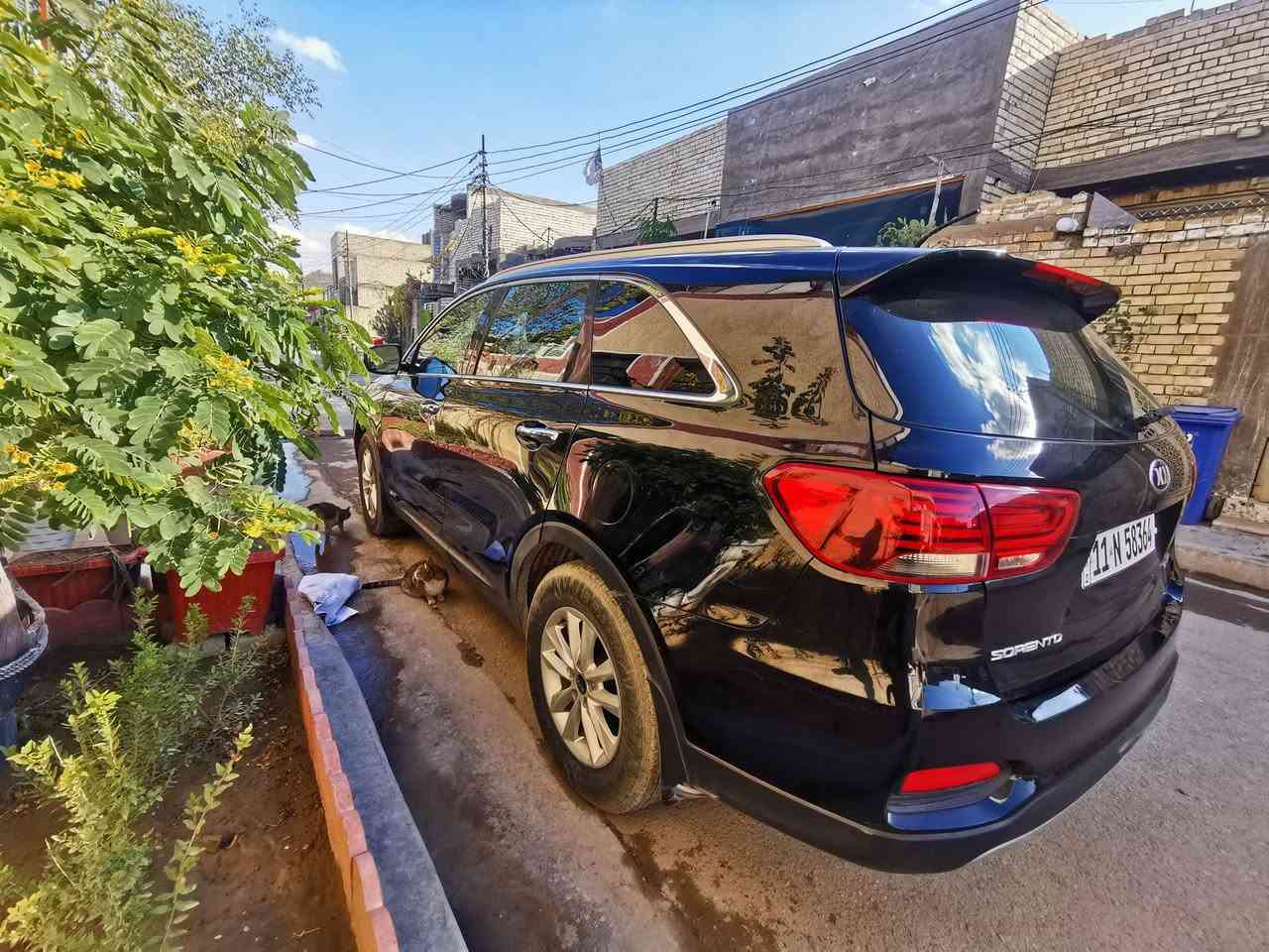 سلام عليكم سورنتو 2019 مواصفات EX حادثها جاملغ وبنيد راجع نفسه وجاملغ مصبوغ ماشيه 83 مكينة كير حدادية كفاله سيارة كندية ***********
سعر 173
