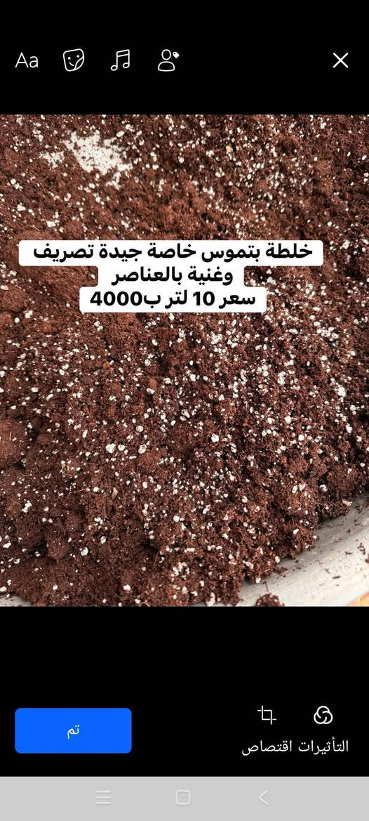 🌿🌸 أسعار منافسة... وعروض مميزة 🌸🌿

نوفر لكم:
🌱 نباتات داخلية وخارجية.
🧪 أسمدة متنوعة.
🛡️ مبيدات حشرية وفطرية.
🌾 أوساط زراعية.
🎁 هدايا مجانية مع بعض الطلبيات (لفترة محدودة).

📍موصل الجديدة – سايدين – حي العامل
قرب منفذ كي كارد تاج السعد.

📞 *********** (اتصال وواتساب)
📞 *********** (واتساب)

🚚 توصيل داخل مدينة الموصل.

🤍 دعمكم بإعجاب أو تعليق يساعدنا على الاستمرار، وشكرًا لثقتكم.

فواز المولى | عيادة الزراعة المنزلية

#فواز_المولى #عيادة_الزراعة_المنزلية #سوبر_بروتينات_نانو #سوبر_كرين_21 #نباتات_داخلية #اسمدة_كيميائية #زراعة #تكاثر_النباتات #الموصل
