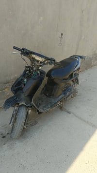 فراشة • للبيع • سعر خاص