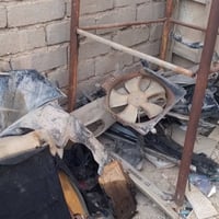 شيري فلاوين • تفصيخ • البصرة