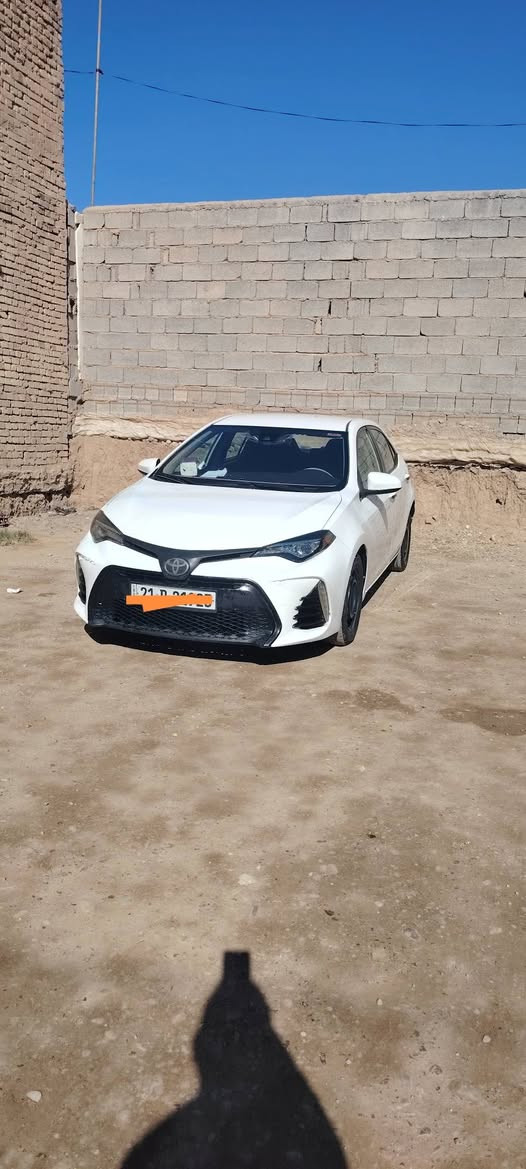 كورلا 2019 L
رقم سليمانيه ضرر الهلال جامرلغ وشبر بالبنيد بدون ايرباك سعر ١٥٠ وبيها مجال للتفاصيل اتصل ع صاحبها *********** مكاني ديالى شهربان
