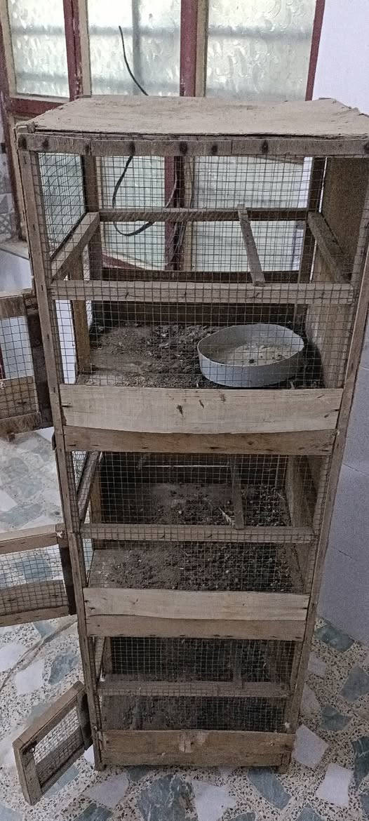 للبيع حلات عدد 35 خانه ام 3 خانه ام وحده مكان بغداد كماليه 
***********
