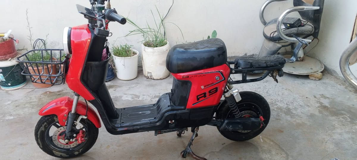 سلام عليكم دراجة R9للبيع نقص فقط بطاريات سعر 175 بيهة مجال مكاني ديالى بعقوبة


**إذا كنت صاحب هذا الإعلان وتريد حذفه لأي سبب، رجاءا أرسل رسالة إلى الدعم الفني**