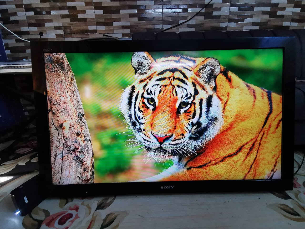 سلام عليكم اخواني عندي شاشه نوع سوني الأصلي ماليزي حجم 46 بدون نت السعر 250 مع ستلايت تكنيك جديد يفتح يوتيوب وقنوات الرياضيه المشفره والأفلام والمسلسلات
***********
WhatsApp +964***********
