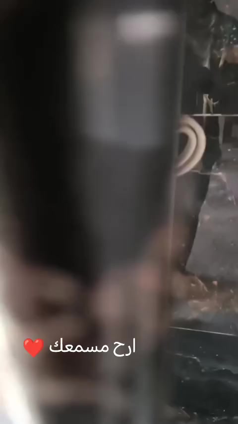 متفرغ حاليا
***********
***********
