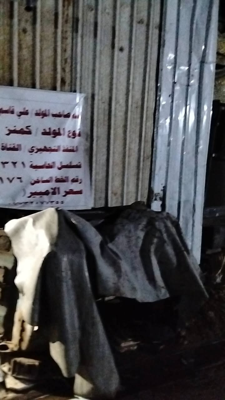 السلام عليكم موقع للبيع بحي النصر شارع المصتوصف بي مكاين كمنز 24ولف حكومية جديدة وسكانيا بومة 124وشتاير 12ولف والامبيرية حوالية 700امبير الموقع هس عايده من الصفر كله جديد وياه تانكي عمودي والحمل قابل للزيادة لأن كان الموقع تشغيل عادي والناس تريد ذهبي واني هذا الشهر شغلت ذهبي وجاي تجي العالم الاستفسار اكثر يرجى الاتصال
السلام عليكم موقع للبيع بحي النصر شارع المصتوصف بي مكاين كمنز 24ولف حكومية جديدة وسكانيا بومة 124وشتاير 12ولف والامبيرية حوالية 700امبير الموقع هس عايده من الصفر كله جديد وياه تانكي عمودي والحمل قابل للزيادة لأن كان الموقع تشغيل عادي والناس تريد ذهبي واني هذا الشهر شغلت ذهبي وجاي تجي العالم الاستفسار اكثر يرجى الاتصال
 ***********
***********
