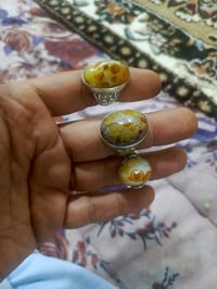 شلع • مفرد • محابس