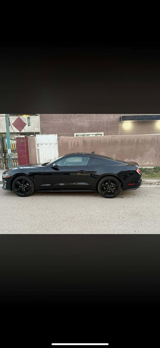 سلام عليكم

موستانج 2023 standar بيع  او مرواس حسب الرغبة

‏ EcoBoost 2.3 

رادار امامي 

شاشة كبيره 

كاربلاي 

تحديد مسار 

ماشيه 14 الف

السياره رقم كاتي ورقمته ب اسمي 

حادث الجاملغ الايمن وراجع نفسه 

الجاملغ الايسر بارد بي على كد شبر 

مكفوله من شواصي ولغود والبدنه 

الايرباكات مكفولات سليمات كلهن 

السياره صفر مسج نضيفه ومتحتاج شي 

السياره ماشيه فقط 14 الف 

للاستفسار ***********
