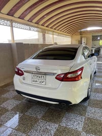 التيما • ٢٠١٧ • قضاء الضلوعيه