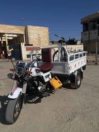 ستوته • موديل ١٦ • اصولي