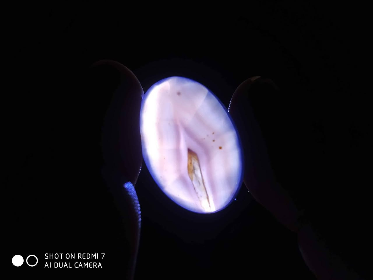 ناصرية مركز ناصرية, ذي قار


**إذا كنت صاحب هذا الإعلان وتريد حذفه لأي سبب، رجاءا أرسل رسالة إلى الدعم الفني**