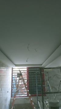 صبغ • متفرغ • حلين