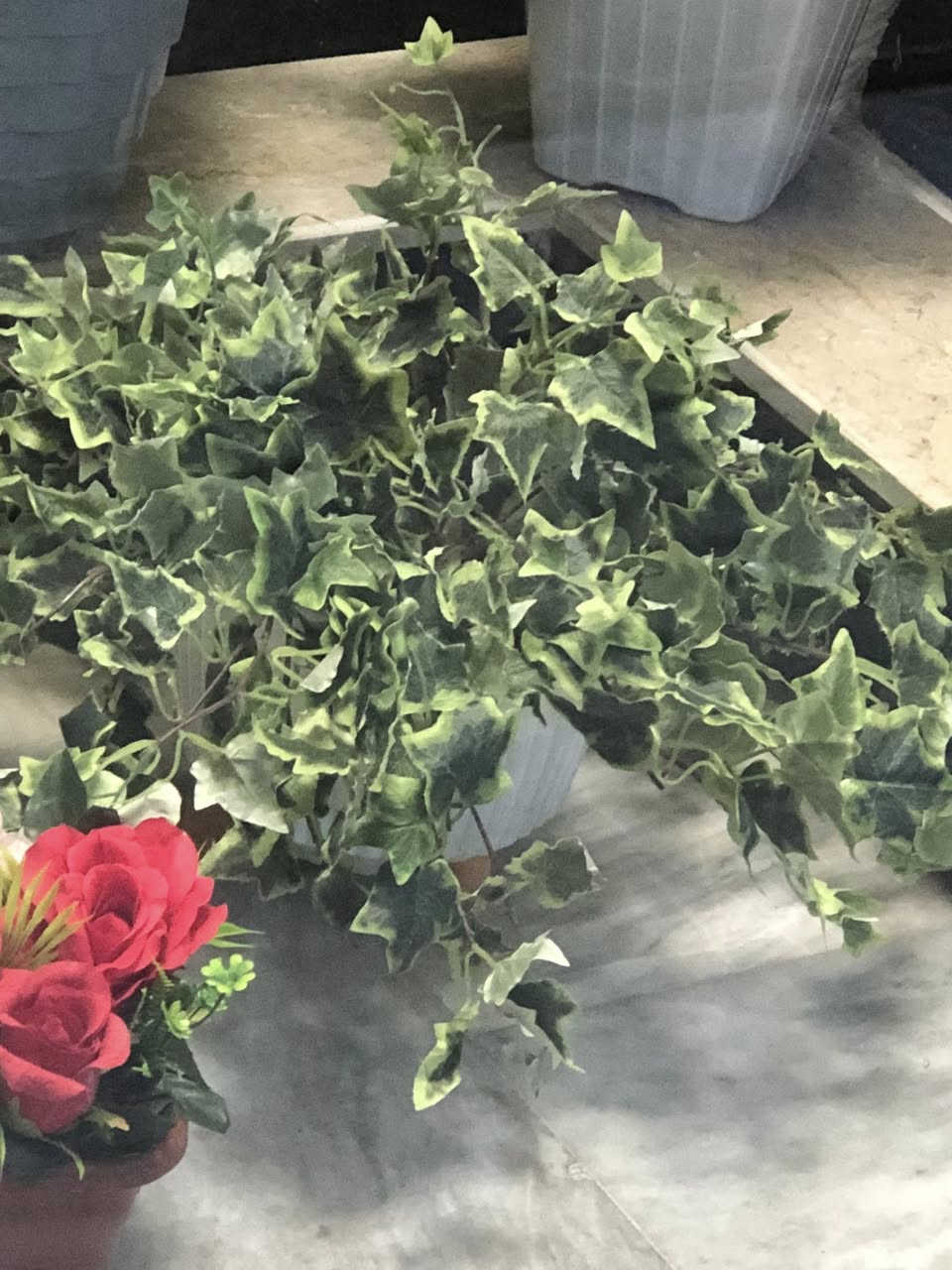 للبيع بغداد الشعب


**إذا كنت صاحب هذا الإعلان وتريد حذفه لأي سبب، رجاءا أرسل رسالة إلى الدعم الفني**