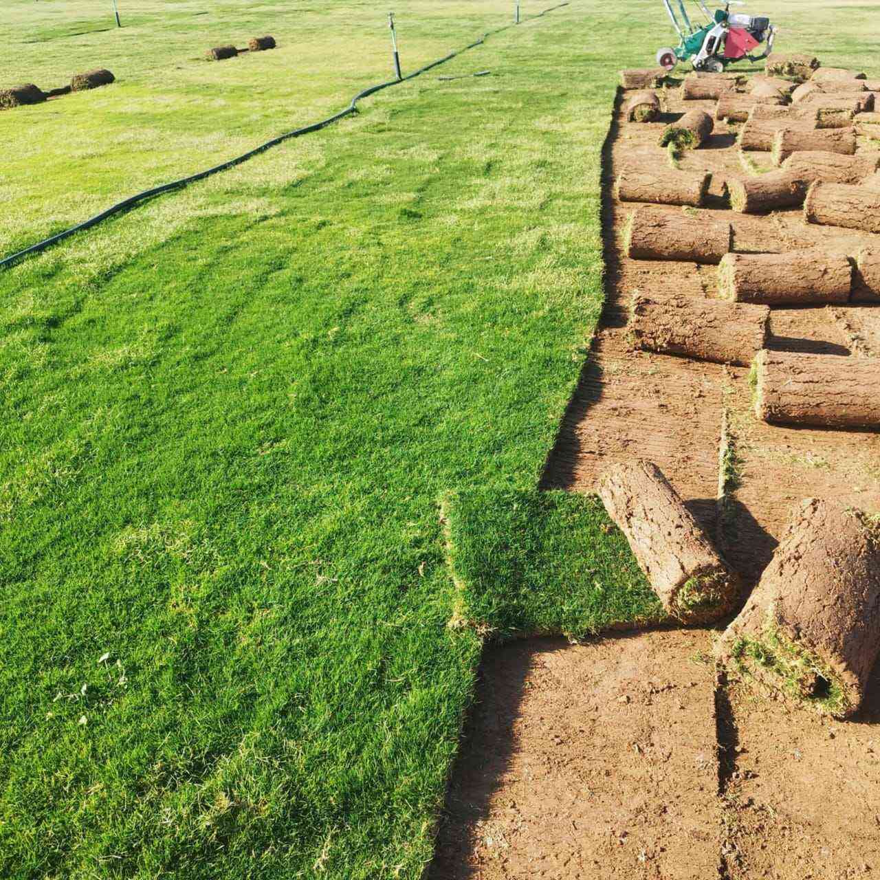 ثيل طبيعي سعر المتر 2000دينار التوصيل مجاني بغداد, العراق


**إذا كنت صاحب هذا الإعلان وتريد حذفه لأي سبب، رجاءا أرسل رسالة إلى الدعم الفني**