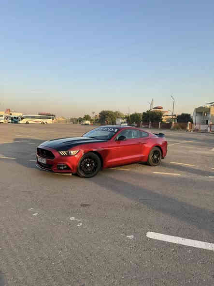 سلام عليكم 
موستنك 2016 خليجي  6v
وكالة انتر ناشيونال
كير مكينة اكسل مكفولات 
بيها بالعراق جاملغ خلفي كلير وصبغ جاملغ وبنيد صورة ضربة ناشرهة 
سعر 129 وبيها مجال
مكاني حي جامعة  *********** واتس 
***********
