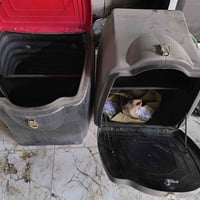 بوكسين • حجم كبير • استعمال قليل