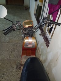 بايسكل شحن • الرمادي الجزيره